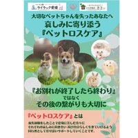 画像314