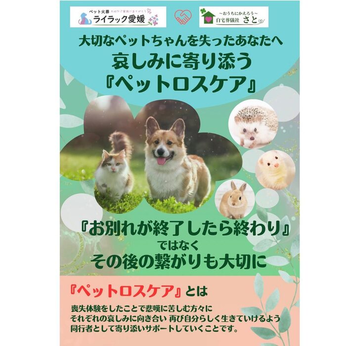 画像314